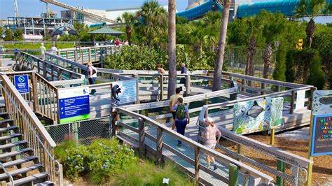 Manatee viewing center - If you would like to visit TECO’s Manatee Viewing Center, it is located at 6990 Dickman Road in Apollo Beach and admission is free. The center is open every day through April 15 from 10 a.m. to ...